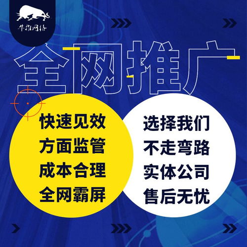 精誠所至，金石為開 上海牛推信息推廣公司網絡技術開發之路